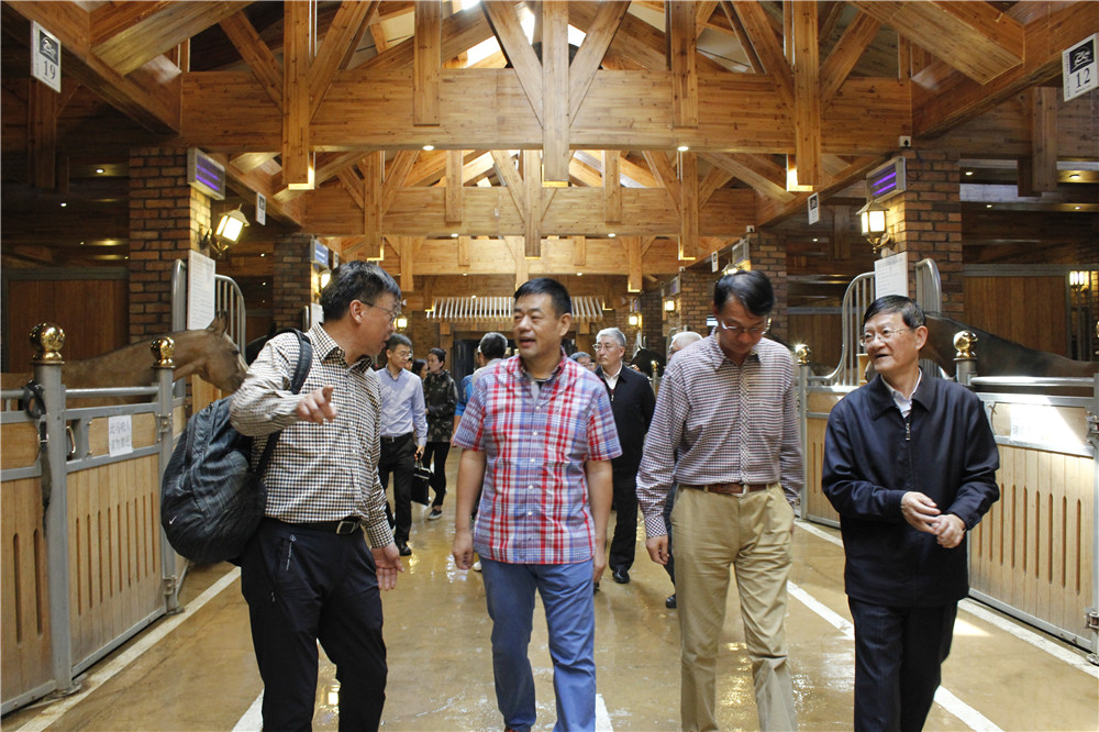 圖片關鍵詞 圖片關鍵詞