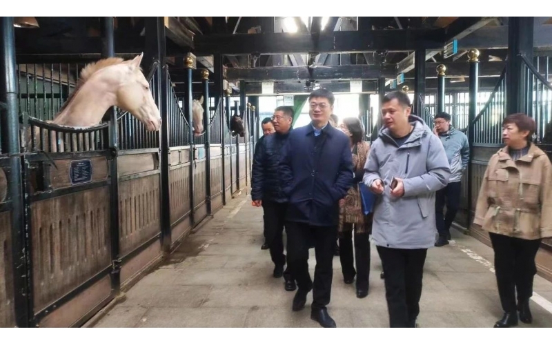 高雷副廳長在野馬集團調(diào)研時表示，要通過科技助力，精準解決“卡脖子”問題